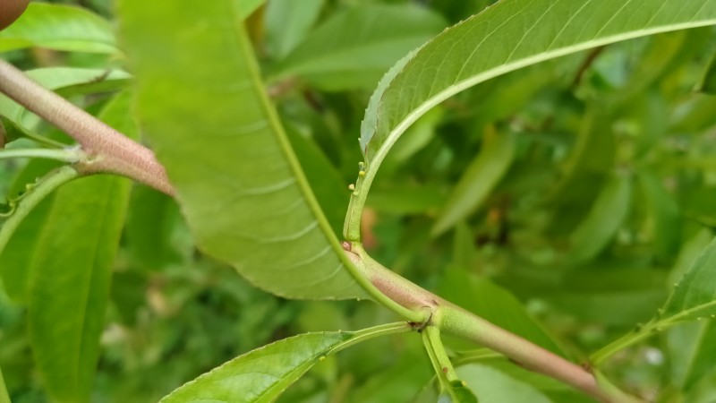IMG20230814171142.jpg