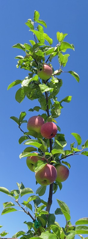 IMG_20230816_112552.jpg