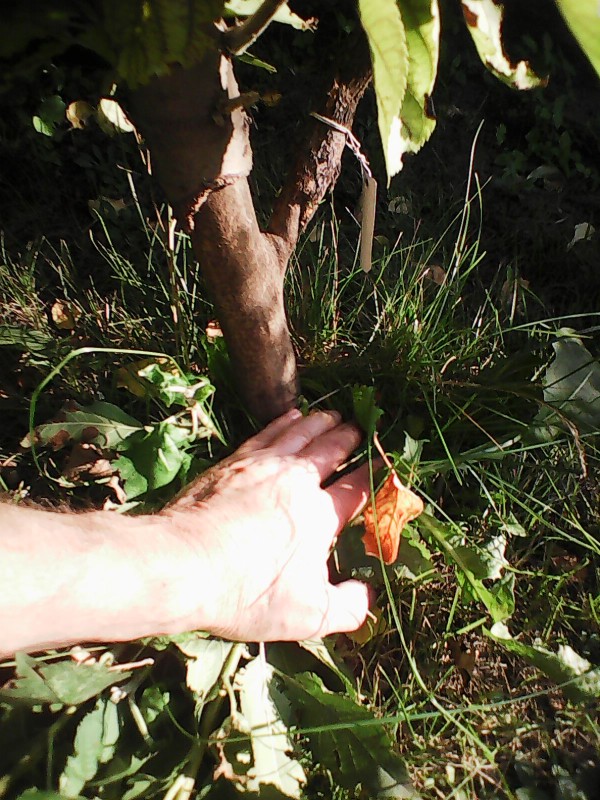 Photo0128.jpg