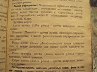 DSC04580 (Small).JPG