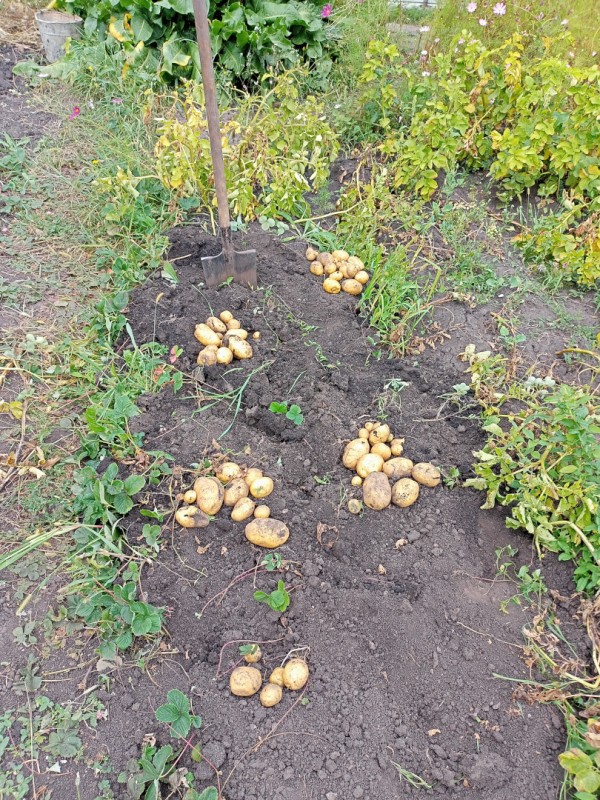 Пароли