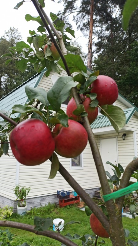 IMG-20230829-WA0019.jpeg