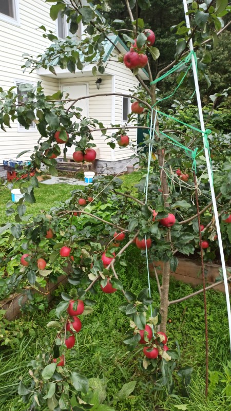 IMG-20230829-WA0017.jpeg