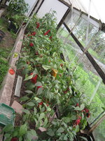 IMG_8888.jpg