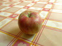 P1080413 +.JPG