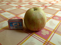 P1080434 +.JPG