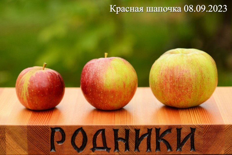 КрШап 09.23.jpg