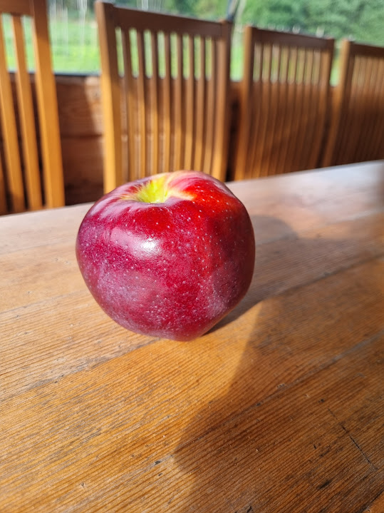 20230909_103435.jpeg