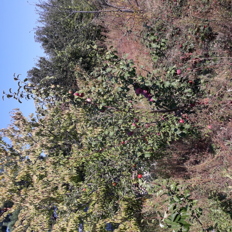 20230917_114257.jpg