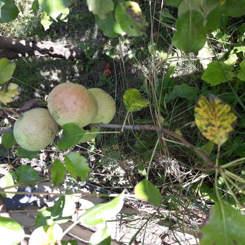 20230917_114611.jpg