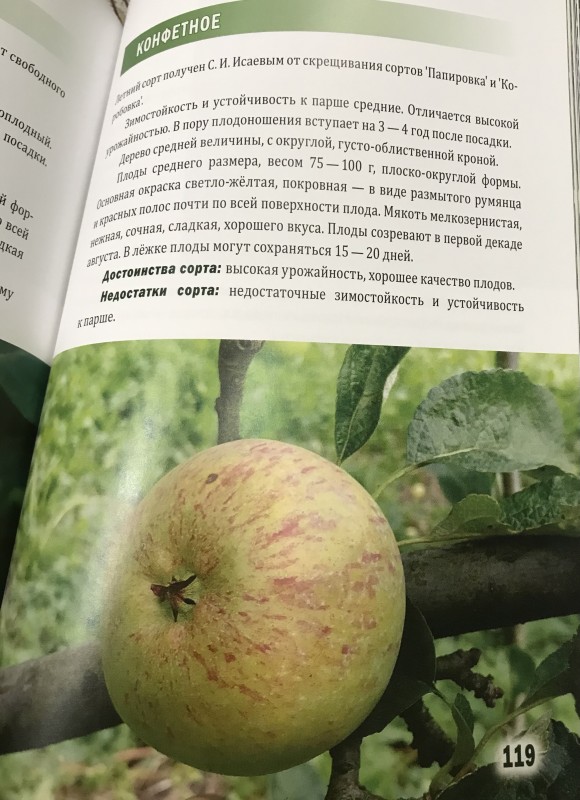Из каталога Ботсада МГУ