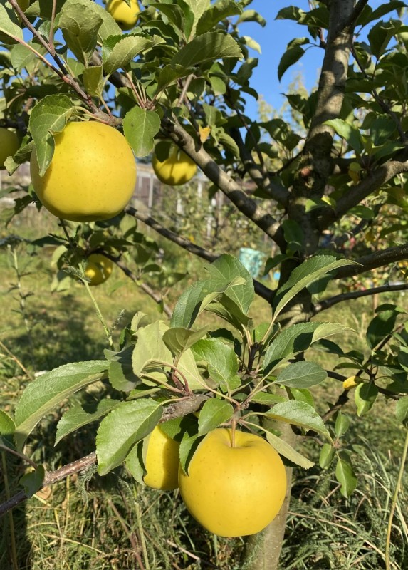 IMG_6398.jpeg