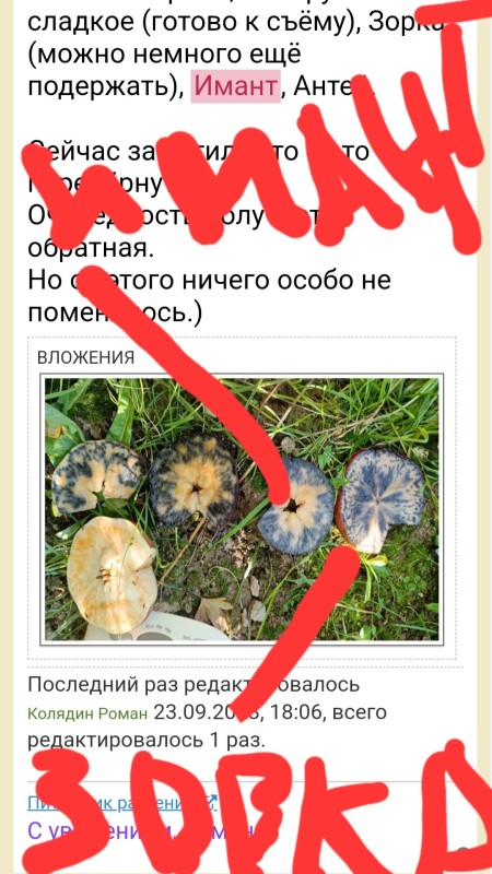 Screenshot_20230925-113249_Yandex.jpg