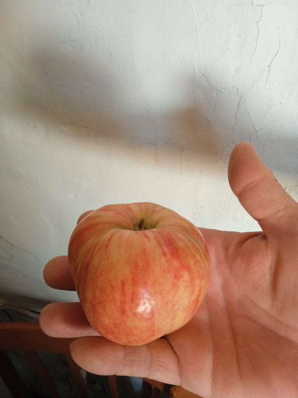 1694848465124.jpg
