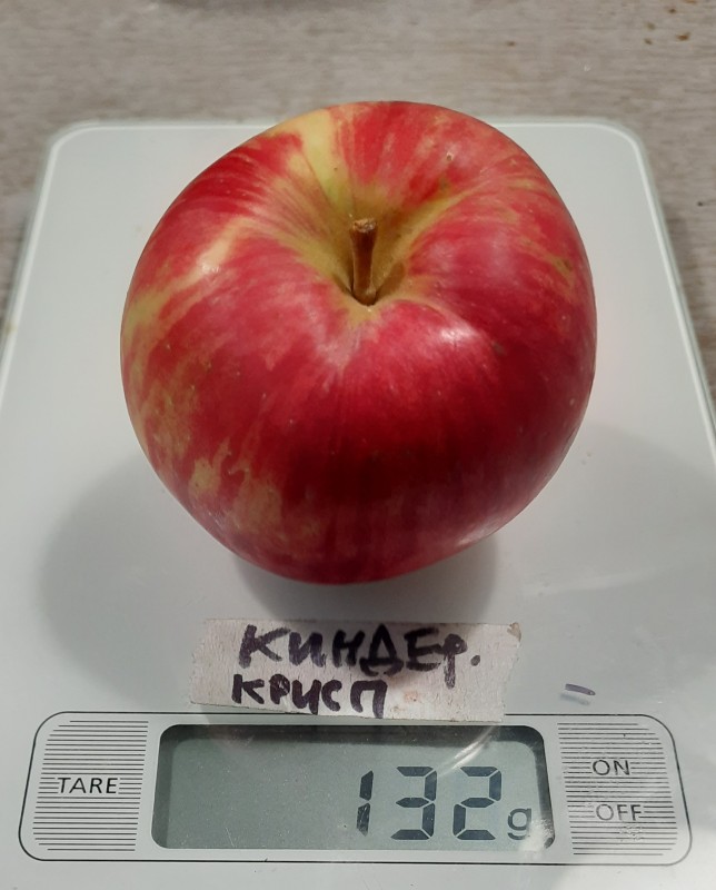 20230927_220308.jpg