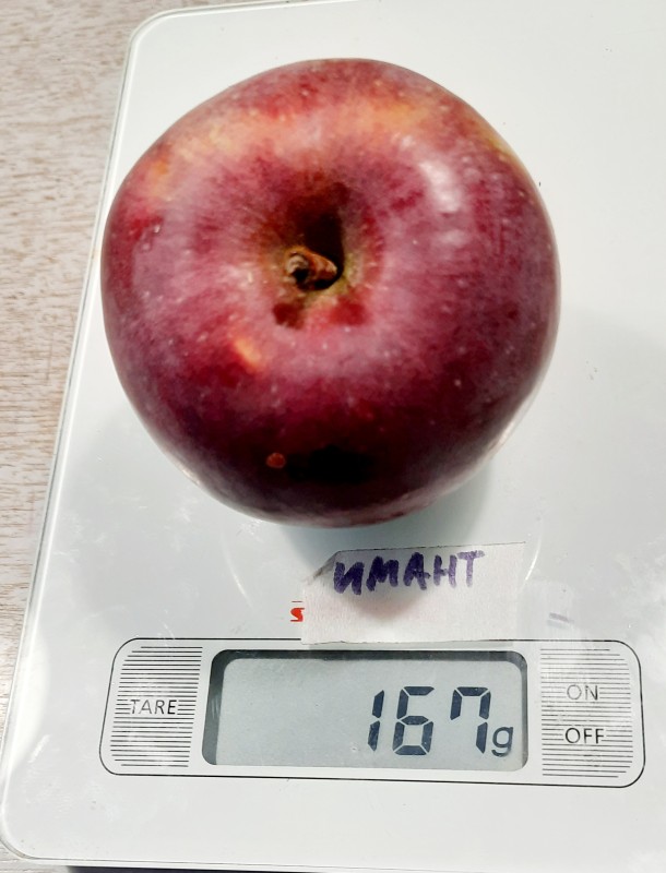 20230927_224504.jpg