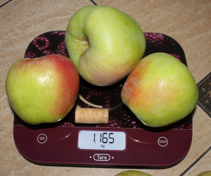 123.jpg