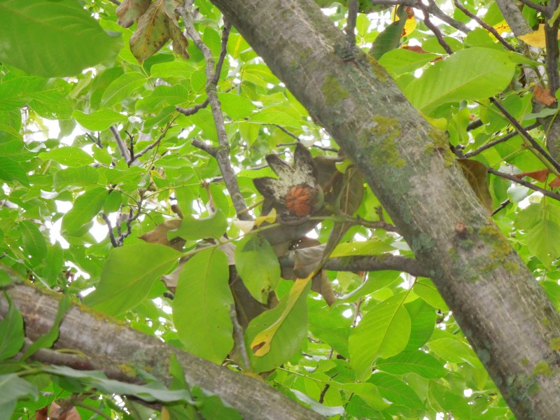 DSCN9370.JPG