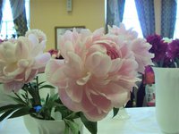 DSC03888 (Small).JPG