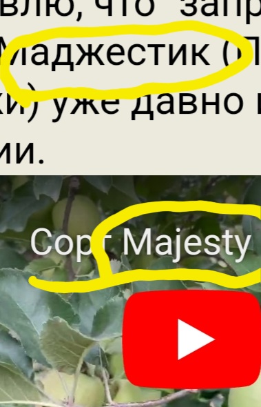 Screenshot_20231010-214000_Yandex.jpg