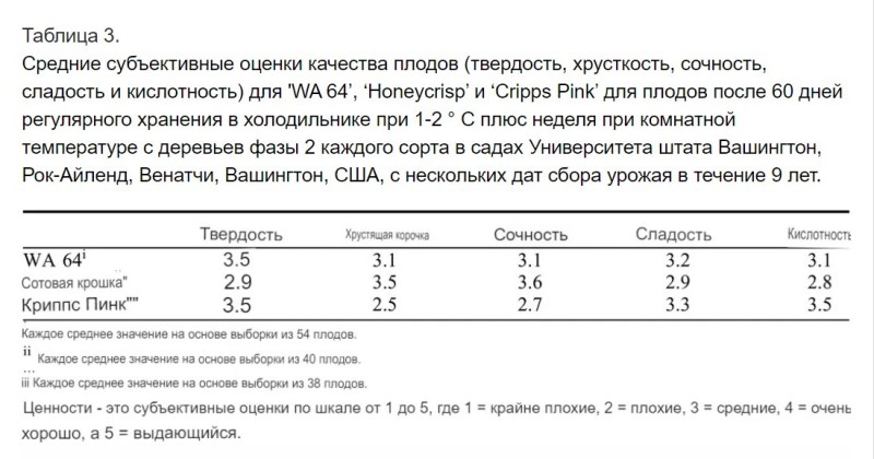 Буфер обмена03.jpg