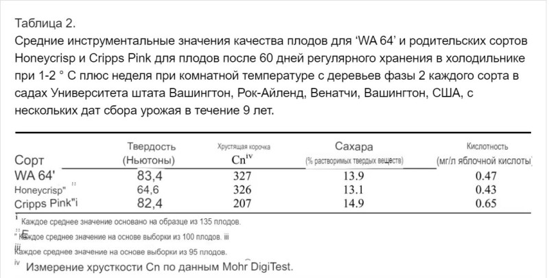 Буфер обмена02.jpg
