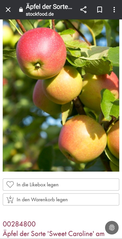 Screenshot_20231017-200525_Chrome.jpg