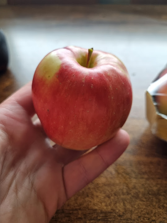 20231022_134040.jpeg