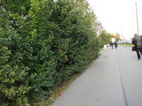 IMG_1707.JPG