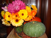 DSC04550.jpg