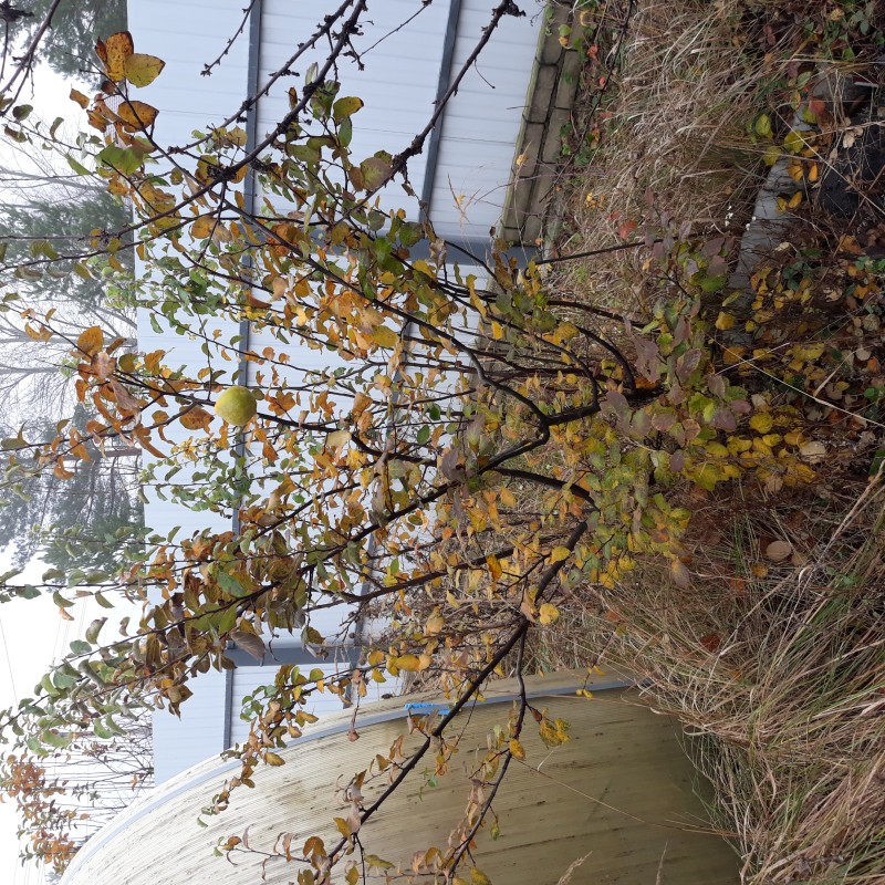 20231111_125345.jpg
