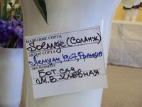 DSC03893 (Small).JPG