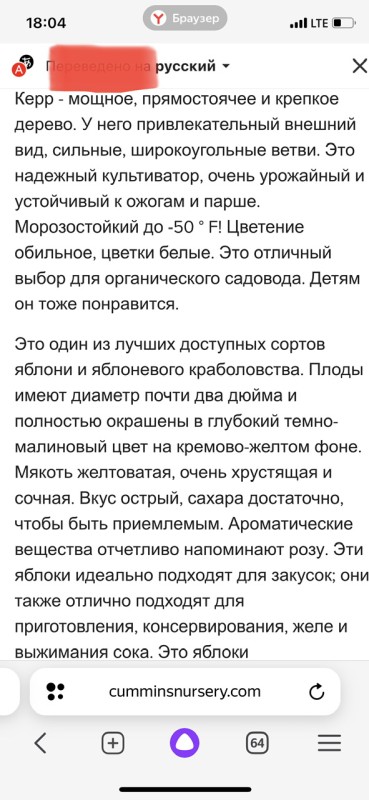 IMG_6799.jpeg