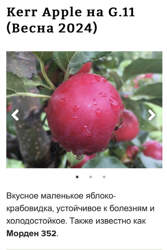 IMG_6800.jpeg