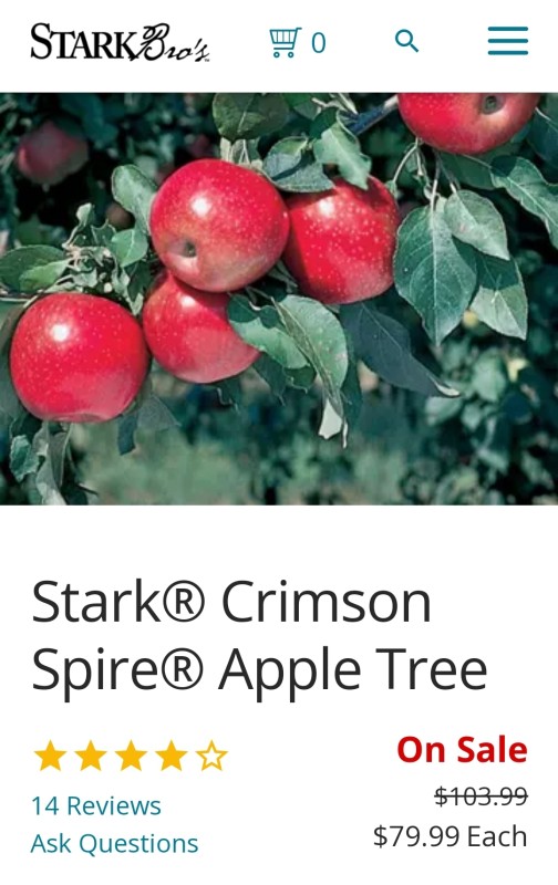 Screenshot_20231116-104356_Chrome.jpg