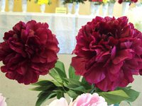 DSC03894 (Small).JPG