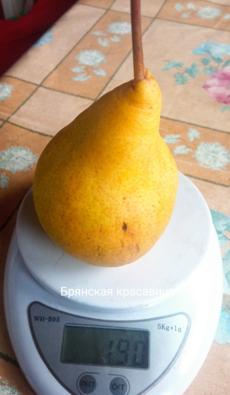 20 сентября.
