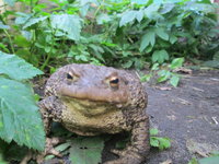 IMG_1764апр.jpg
