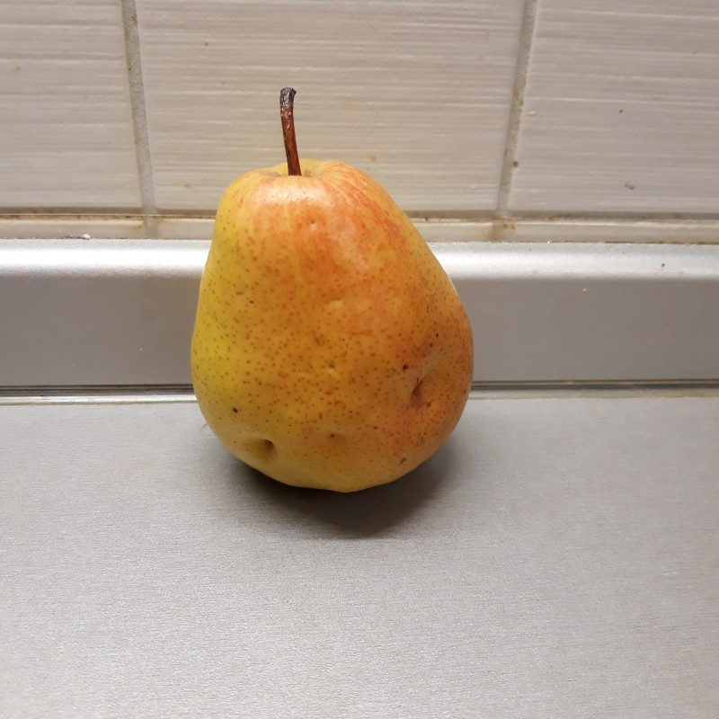 20191002_001712Ника.jpg