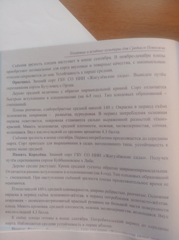 IMG-419118785d847f81a0526372ce89452f-V.jpg