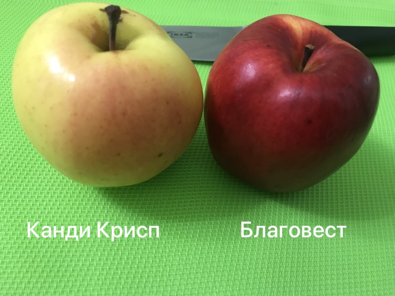 AF3184D6-D3BE-473F-94E4-29A150DF4A76.jpeg