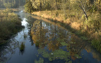 _DSC3173.jpg