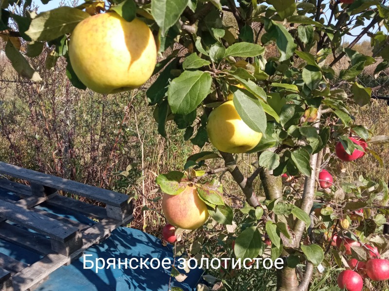 IMG_20231121_162405.jpg