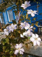PA030023.JPG