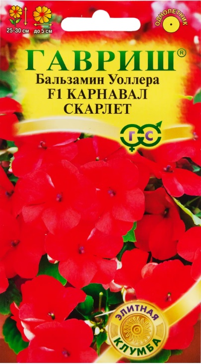 баль.jpg