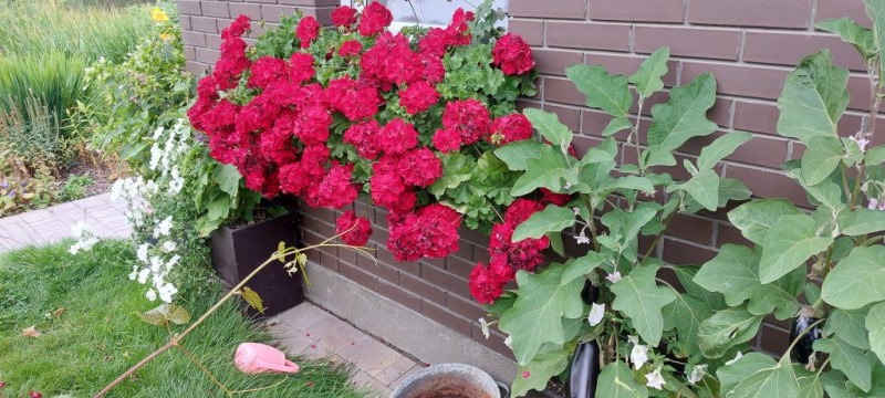 20230729_112612 (1).jpg