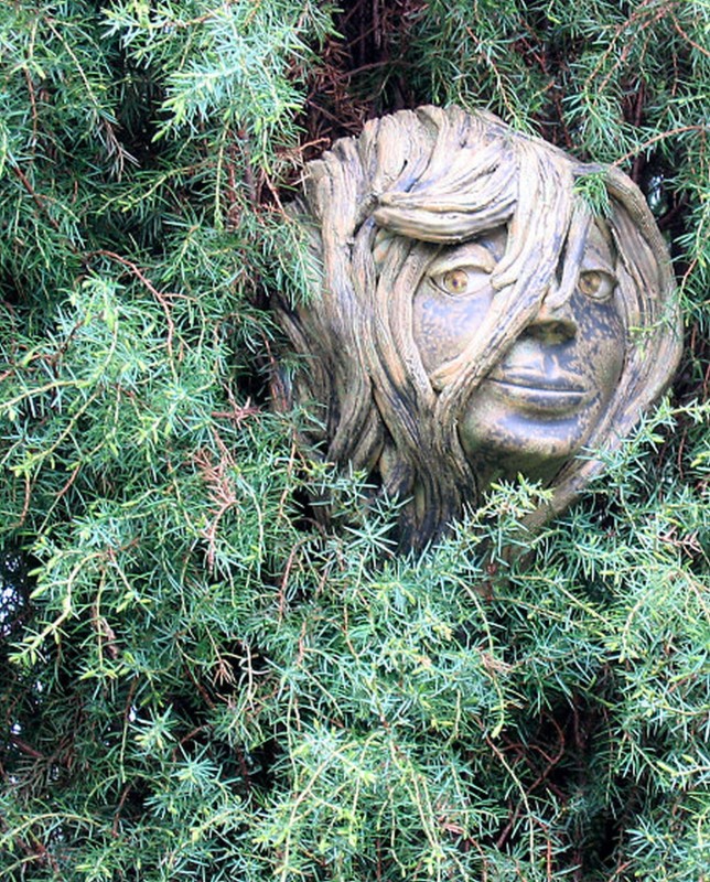 juniper`s_spirit.jpg