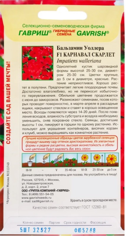 бальз3.jpg