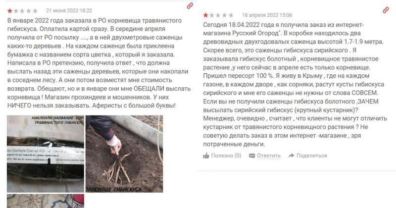 руогор.jpg