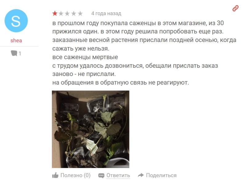 руссог.jpg